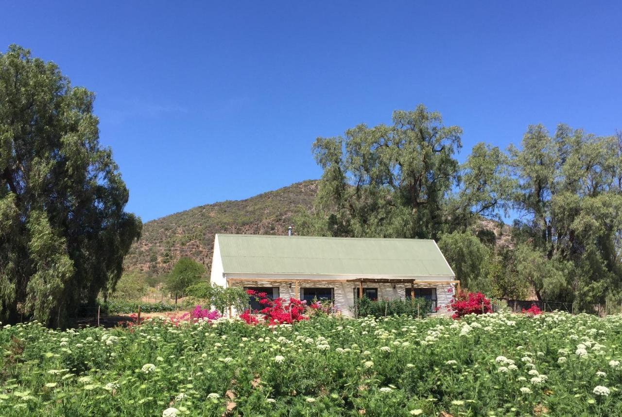 Pepper Tree Cottage De Rust Exterior photo